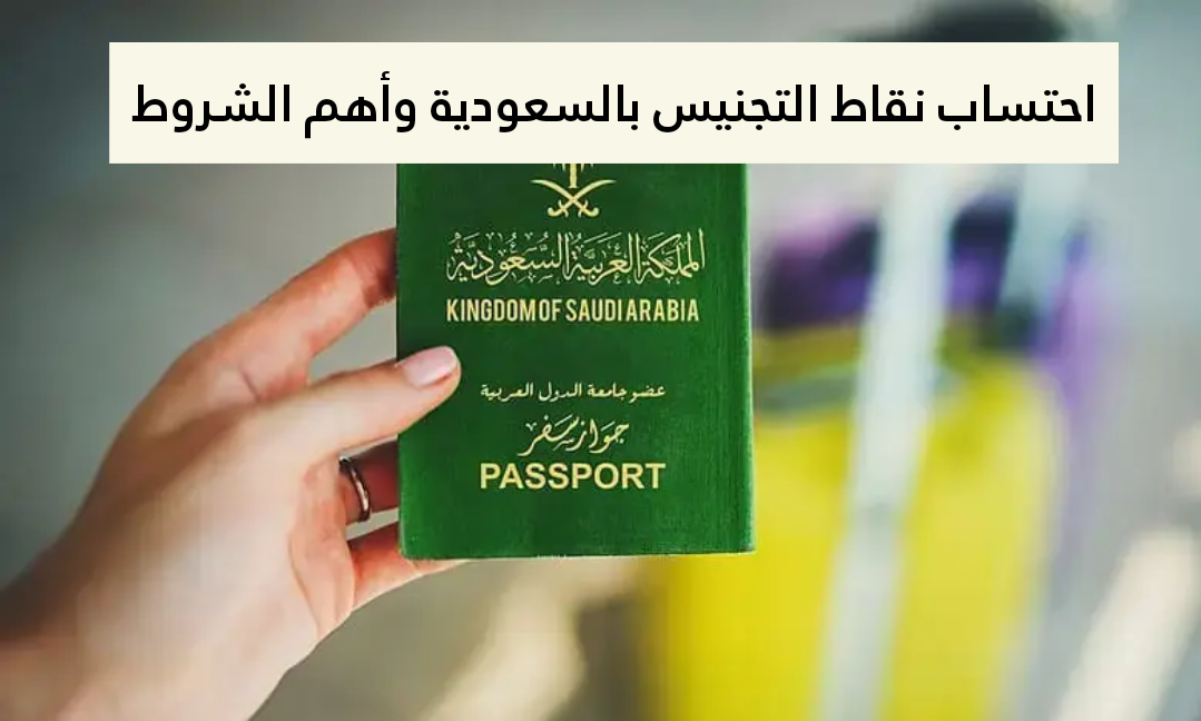 نقاط التجنيس